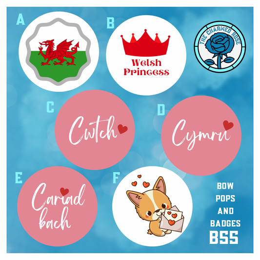 Welsh flag / Wales - Bow Pops & Badges (B55)